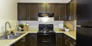 Elevate at Dawson Forest Gallery 2