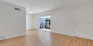 1460 Forest Glen 1460 Forest Glen Gallery 4