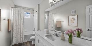 The Franklin The Franklin Gallery 11