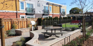 Ramblewood Apartments Gallery 11