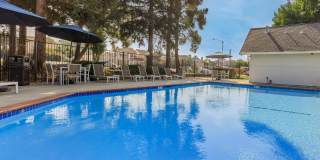 The Hazelwood Gallery 10