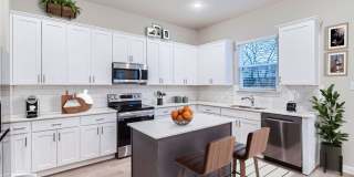 HAMILTON PLAN Gallery 1