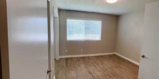 Marine Park Gallery 62