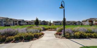 Springs at Sandstone Ranch Gallery 46