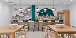 The Kavista Gallery 18