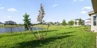 14208 Lacebark Lane Gallery 73