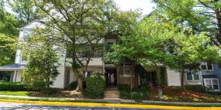 7705 LAFAYETTE FOREST Drive Gallery 1