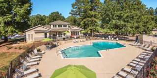 LYV Six Forks Gallery 1