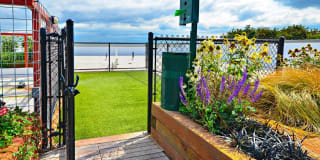 Forge West Seattle Gallery 18