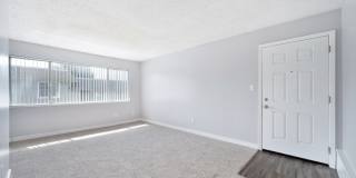 The Canopy Gallery 12