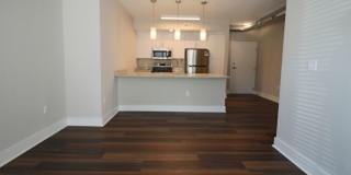 Main2525 Gallery 61