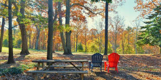 Oakland Hills Gallery 10