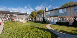 Aspen Valley Gallery 276