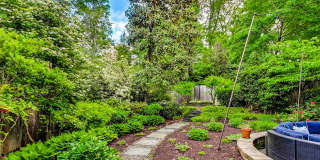 COMING SOON - Stunning 4 bed + 2 full & 2 1/2 bath Classic in NW DC Gallery 48