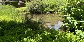 1220 Alta Vista Drive Gallery 36