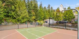 Brookside Village Gallery 22