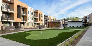 Sutter Green II Gallery 14