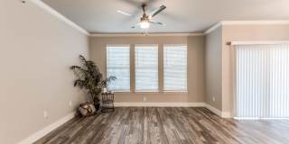 Rosemary Gallery 4