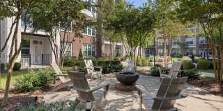 Alta Wren Gallery 35