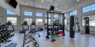 Tacara at Stone Oak Gallery 24