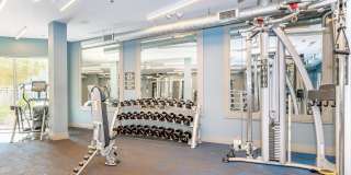 Jewel on Landmark Gallery 3