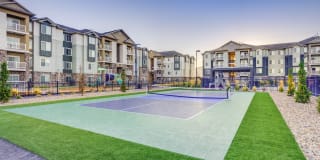 Sandalwood Gallery 7