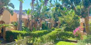 5225 De Longpre Ave. Gallery 40