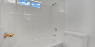 168 Herbie Lane Gallery 5