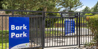 Camden Caley Gallery 25