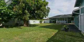 Fully Renovated 4BD in Kuli'ou'ou Valley, Garage-Driveway, Spacious Yard, and Work Shed PETS ALLOWED Gallery 1