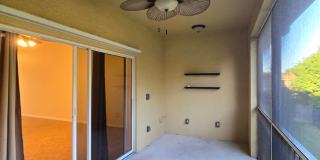 1101 Winding Pines Cir #202 Gallery 16