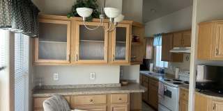 LOS AMIGOS- 55+ Community Gallery 4