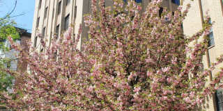 2000 Connecticut Gallery 89