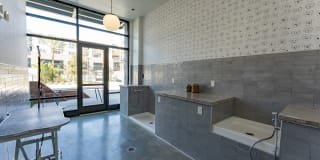 The Asher Gallery 20