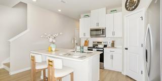 Coral Palms at Oakleaf Gallery 4