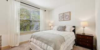 Andante at Nine Mile Station Gallery 29