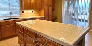 10691 Fire Poppy Circle Gallery 7