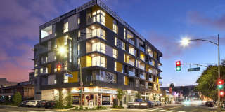 The Linden Gallery 30