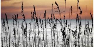 1734 Sound Haven Court Gallery 16