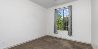 2547 Comet Loop Gallery 17