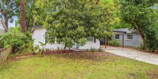 Remodeled 3BR/2BA Temple Terrace Home with Carport Gallery 3