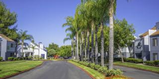 Montage at Fair Oaks Apartments Gallery 50