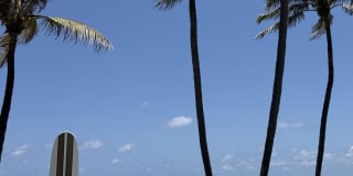 297 Deer Creek Boulevard unit: 1305 Gallery 36