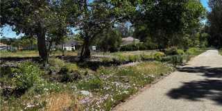 24563 Calle Perla Gallery 35