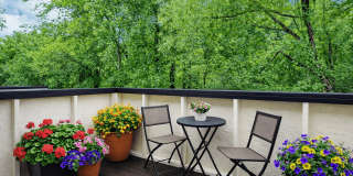 Davidson Apartment Homes Gallery 18