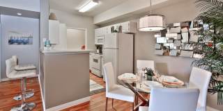 Summer Winds Gallery 14