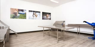 AMLI Cherry Creek Gallery 14