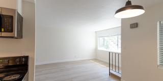 Paloma E32 LLC Gallery 14