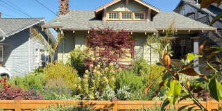 Glenview Craftsman Home with Exquisite Yard Coming Soon! Gallery 1