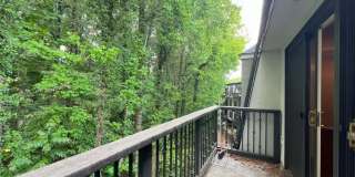 3312 Pine Heights Drive NE Gallery 26